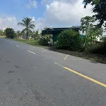 Bán đất 1500m² Xã Châu Hưng, Vĩnh Long 300 triệu - Ảnh thu nhỏ 3