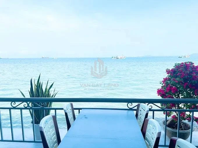Bán nhà hàng mặt tiền Trần Phú 211.4m² Vũng Tàu 31 tỷ - Ảnh thu nhỏ 3