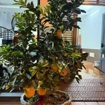 Bán nhà 4 tầng 4PN mặt ngõ 50m gần Tam Bạc, Quận 1 - Ảnh thu nhỏ 2