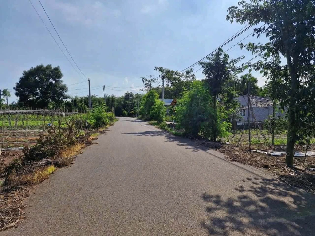 Bán đất Xuân Sơn Phủ Hồng 1.148m² 1 tỷ 1 - Ảnh thu nhỏ 3