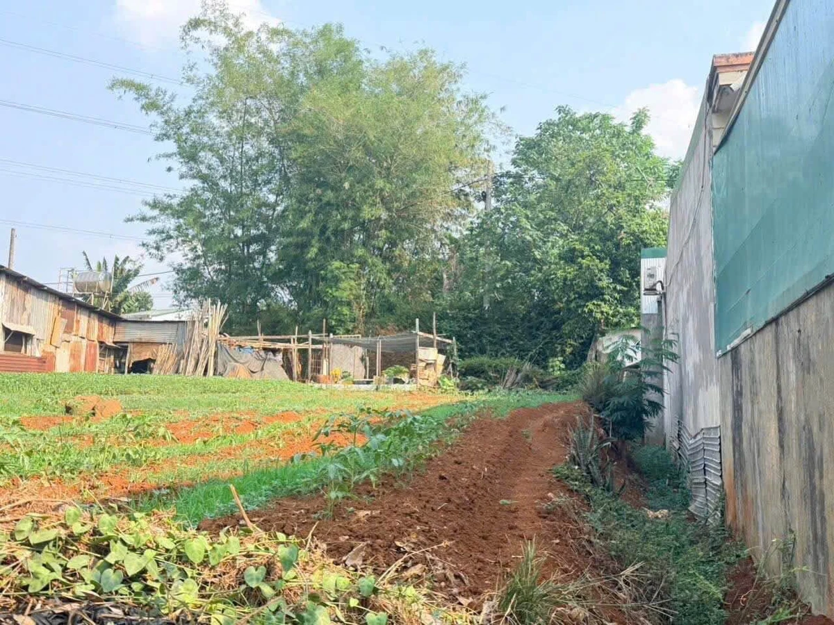 Bán đất 2 mặt tiền 150m² Tân Hòa, giảm còn 2,9 tỷ - Ảnh 1