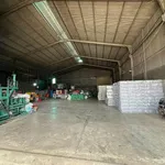 Cho thuê kho xưởng 670m2 đường 767 Vĩnh Cửu, Đồng Nai - Ảnh thu nhỏ 4