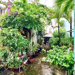 Bán nhà vườn cấp 4 219m² (10x22) hẻm Thống Nhất, P.16, Gò Vấp – 15,5 tỷ - Ảnh thu nhỏ 4