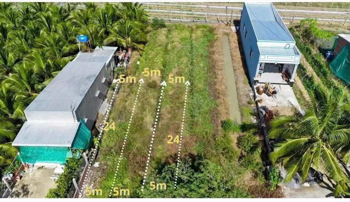 Bán 3 lô đất thổ cư 120m² xã Vĩnh Công Châu Thành Long An - Ảnh thu nhỏ 3