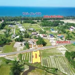 Bán đất biển Gio Hải 512m² mặt tiền đường nhựa - Ảnh thu nhỏ 2