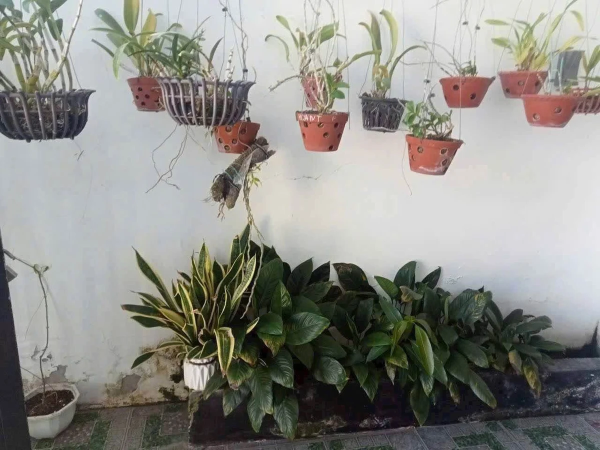 Bán nhà 2 phòng ngủ 83.2m² Đức Long Phan Thiết 520 triệu - Ảnh thu nhỏ 3