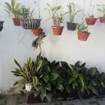 Bán nhà 2 phòng ngủ 83.2m² Đức Long Phan Thiết 520 triệu - Ảnh thu nhỏ 3