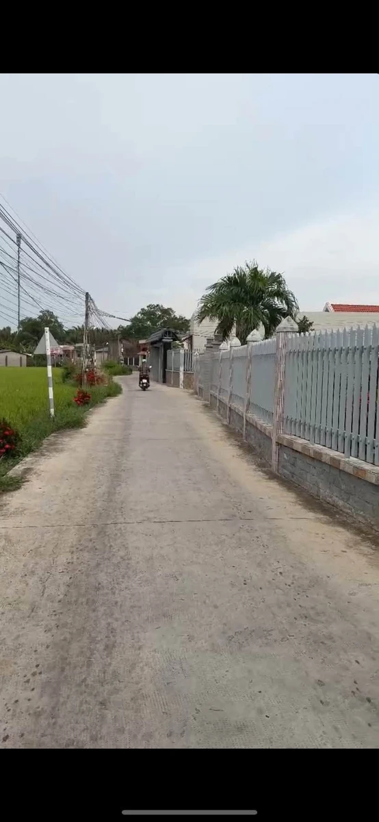 Bán đất thổ cư 126m2 Tân Trụ 259 triệu - Ảnh thu nhỏ 3
