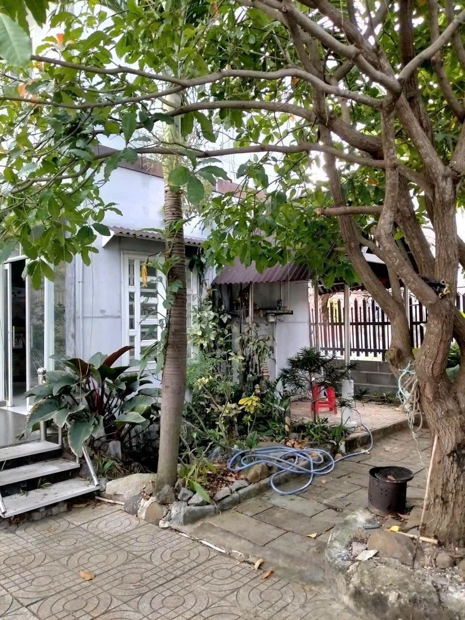 Bán nhà vườn Long Hải 250m² gần biển, giá 3 tỷ 850 triệu - Ảnh thu nhỏ 5