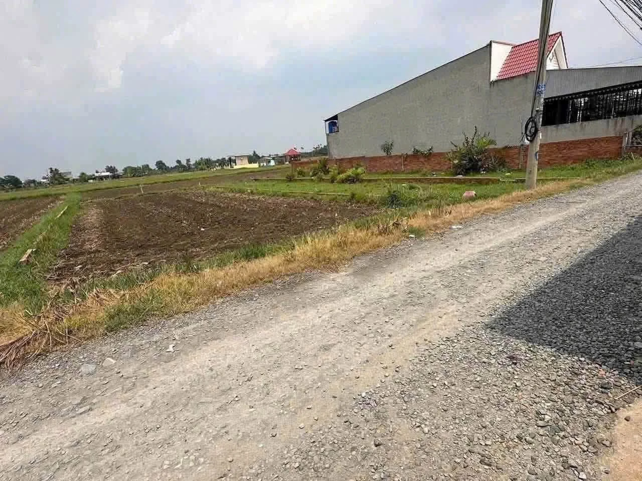 Bán lô đất thổ cư 5x29m (145m²) Hòa Khánh Đông, Nhà Bè - Ảnh 1