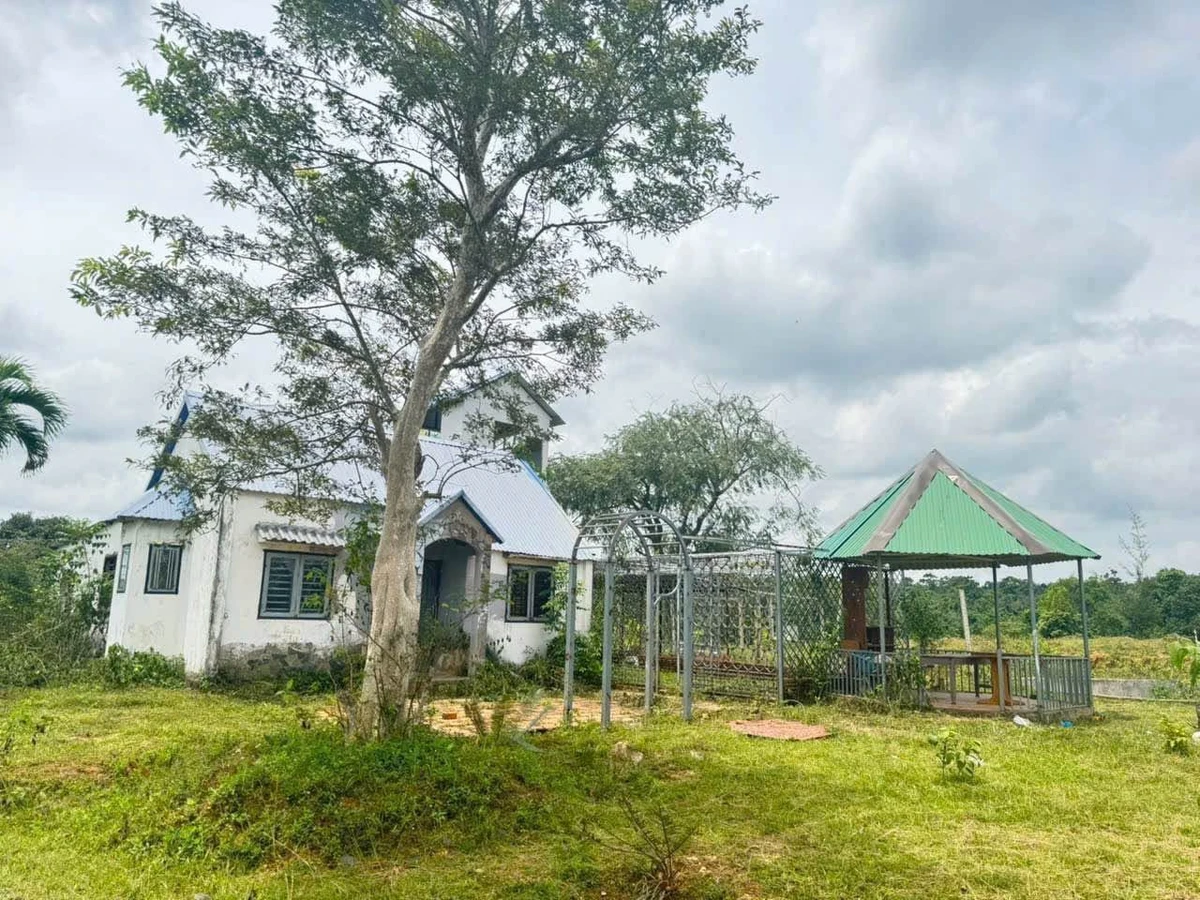Bán đất 2 hecta Eakao Buôn Mê Thuột, 400 triệu/sào - Ảnh 1