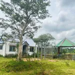 Bán đất 2 hecta Eakao Buôn Mê Thuột, 400 triệu/sào - Ảnh thu nhỏ 1