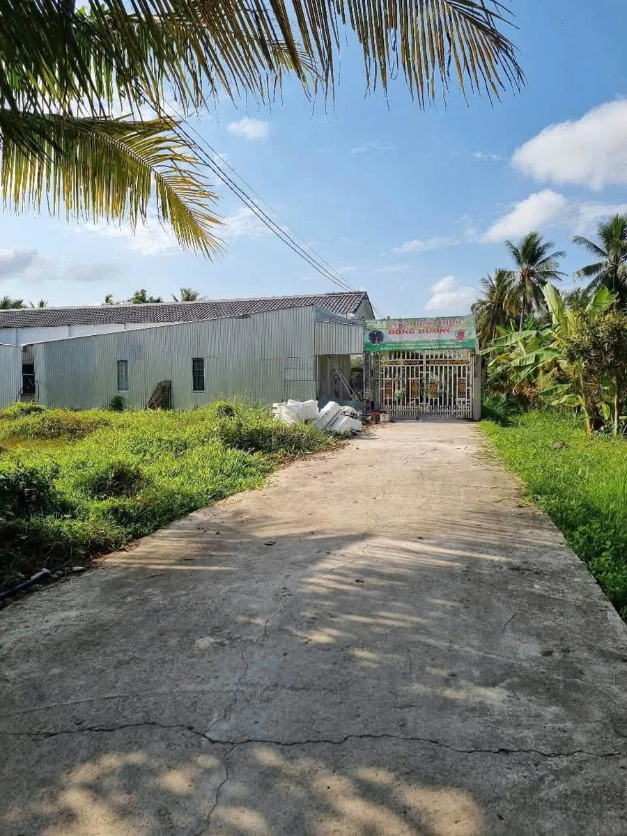Bán đất Sơn Đông Bà Rịa - Vũng Tàu 115 m² - Ảnh thu nhỏ 3