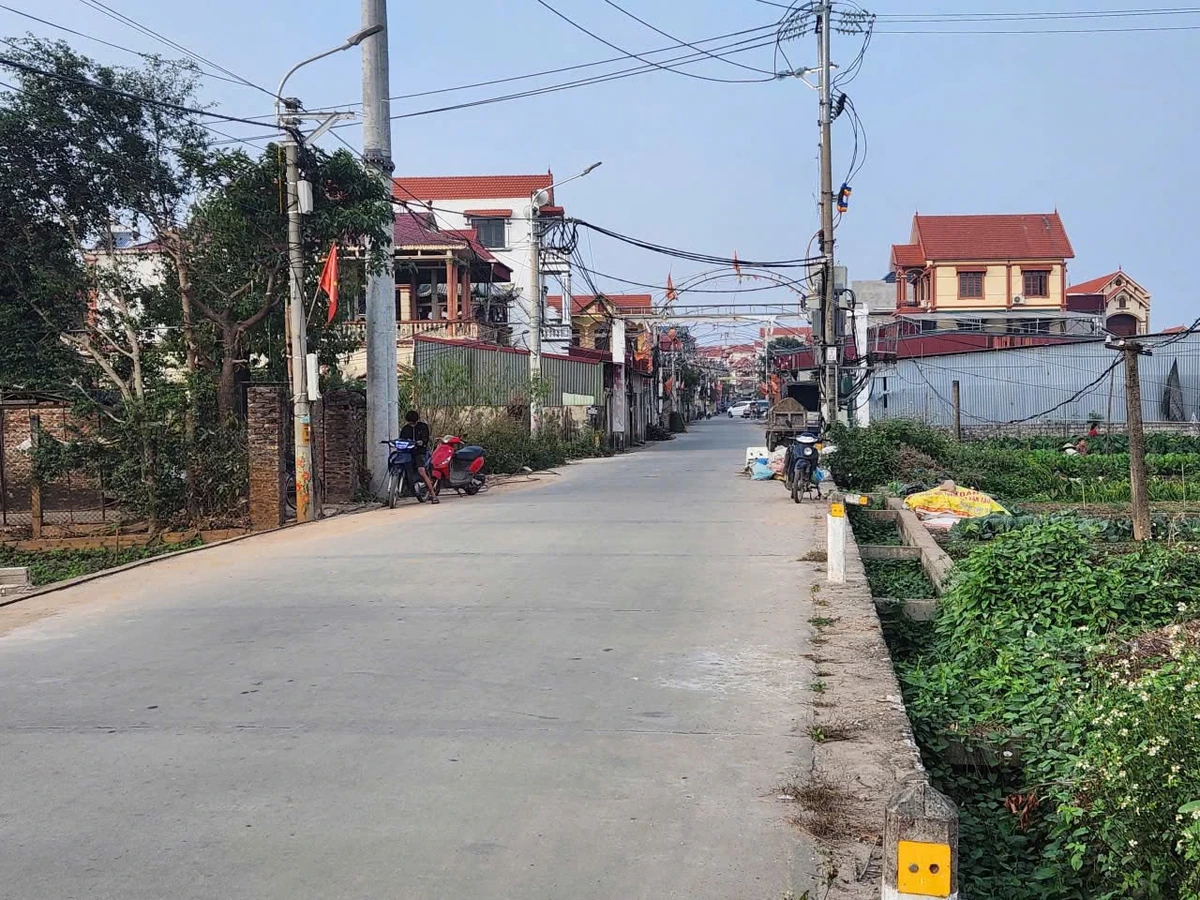 Bán đất mặt chợ 255m² Chương Dương Hà Nội 1,2 tỷ - Ảnh thu nhỏ 3