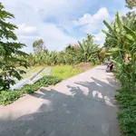 Bán 3000m2 đất lúa cách Đại học Nam Cần Thơ 700m, giá 2,8 tỷ/1000m2 - Ảnh thu nhỏ 2