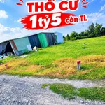 Bán đất thổ cư 297m² Mỹ Lộc Cần Giờ, 1,5 tỷ - Ảnh thu nhỏ 1