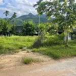 Bán lô đất vườn 2500m² view cánh đồng Hòa Bắc - Ảnh thu nhỏ 2