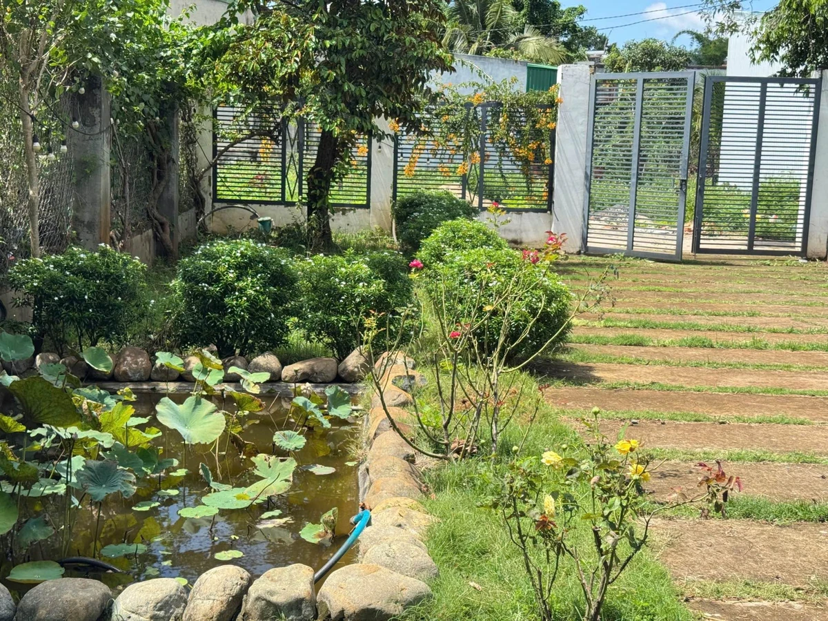 Nhà vườn nghỉ dưỡng 542m² Buôn Ma Thuột 2,35 tỷ - Ảnh thu nhỏ 2