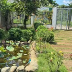 Nhà vườn nghỉ dưỡng 542m² Buôn Ma Thuột 2,35 tỷ - Ảnh thu nhỏ 2