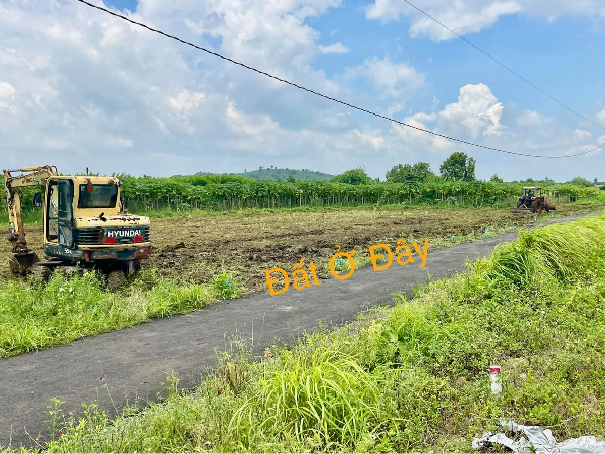 Bán đất F0 500m2 hẻm nhựa đường Lên Nhựa, Long Tân, Đất Đỏ giá 599 triệu - Ảnh thu nhỏ 5