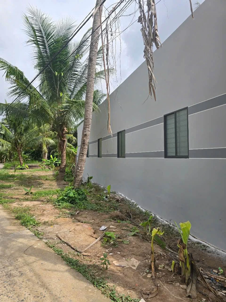 Bán nhà mới 3PN 130m² Bình Phú, Vĩnh Long 1 tỷ 4 - Ảnh thu nhỏ 3
