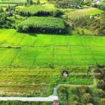980tr, 1000m2 có thổ cư gần hết đất, gần dự án KCN Hiệp Thạnh, đường bê tông - Ảnh thu nhỏ 18