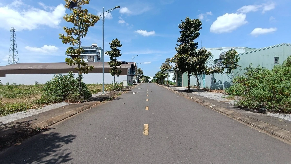 Bán đất 115m² Phường Thống Nhất, Thủ Đức, 2 tỷ - Ảnh thu nhỏ 3