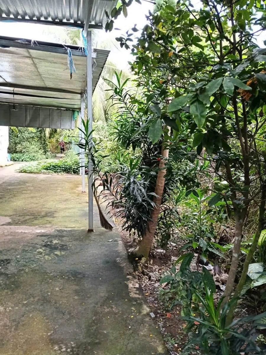 Bán đất 813.9 m² gần khu công nghiệp Giao Long, Vĩnh Long - Ảnh thu nhỏ 4