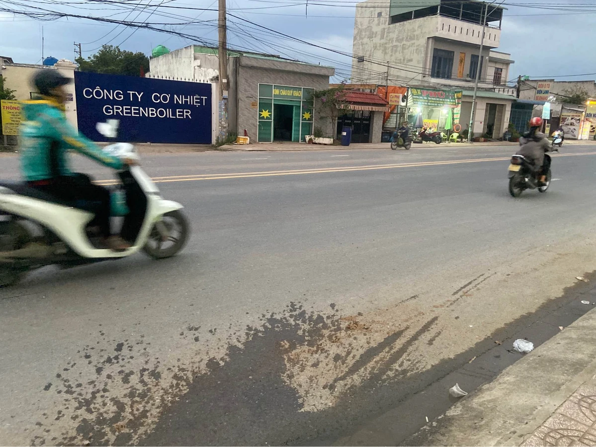 Bán lô đất 192m² Mỹ Hạnh Bình Chánh giá 1.25 tỷ - Ảnh thu nhỏ 2