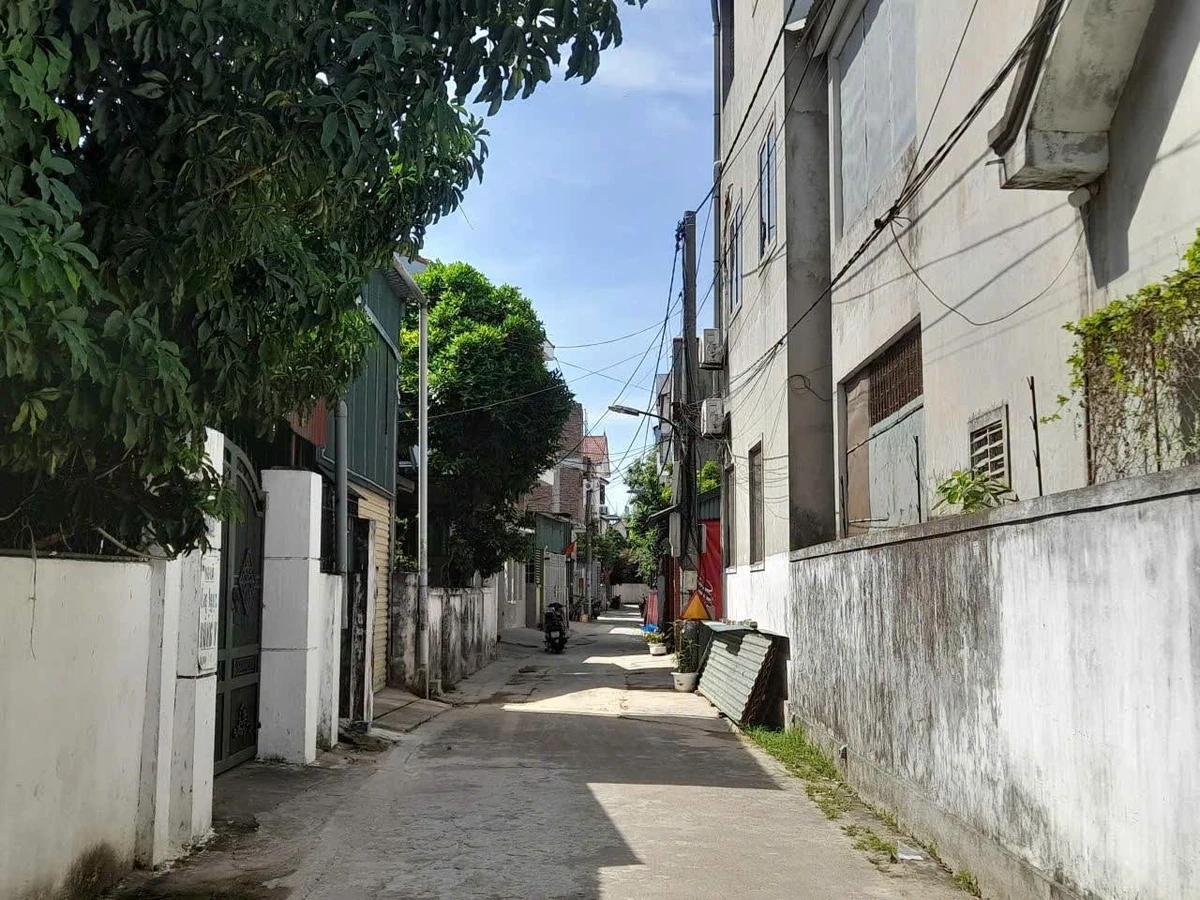 Bán đất 96.9 m2 mặt tiền 5m Phạm Đình Toái - Ảnh thu nhỏ 3