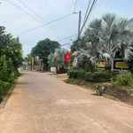 Bán đất thổ cư 15500m² mặt tiền Trần Hưng Đạo, Bình Dương 820 triệu - Ảnh thu nhỏ 1
