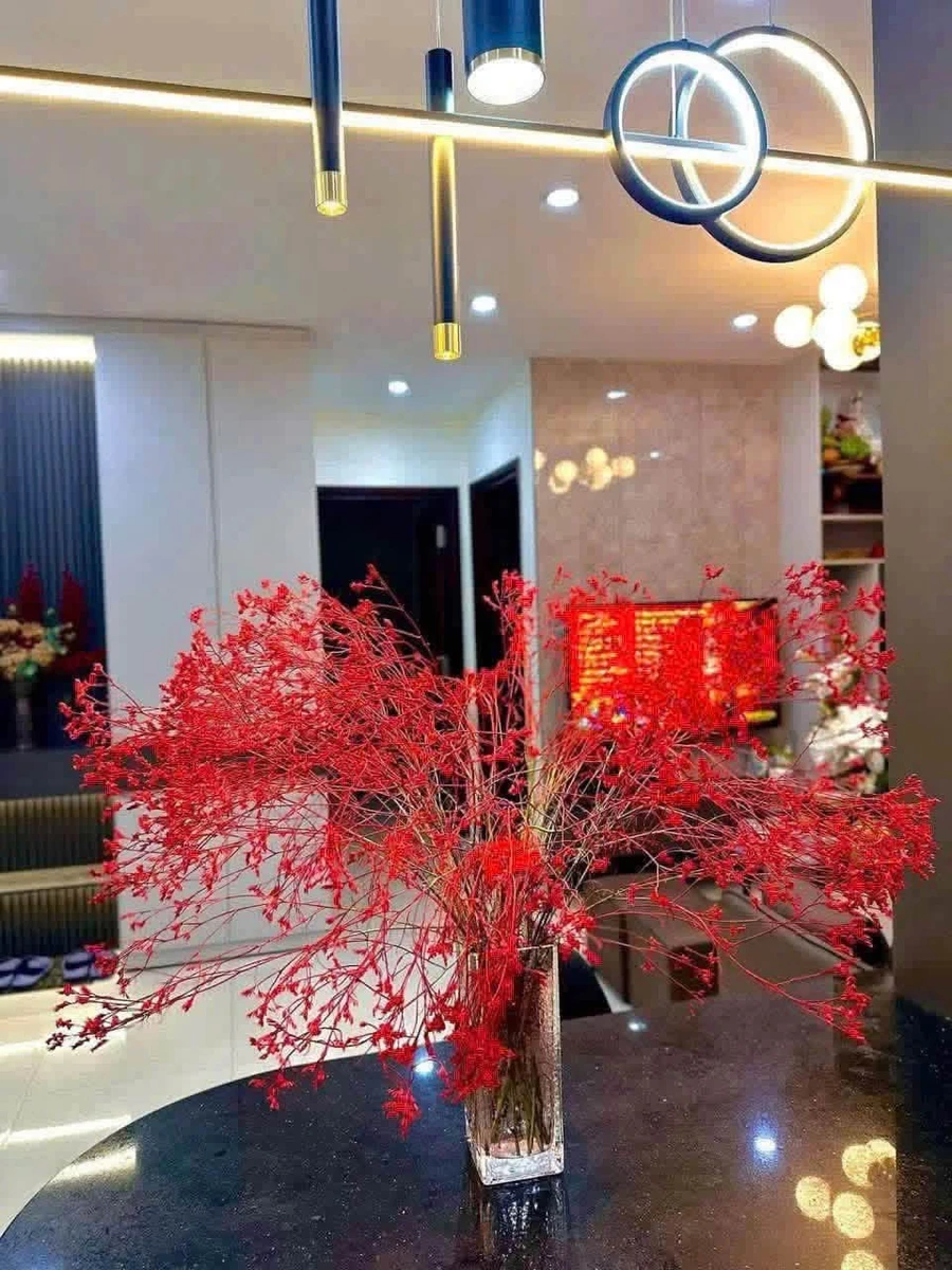 Cho thuê căn hộ T&T Victoria Vinh 2PN 68m² 10 triệu/tháng - Ảnh thu nhỏ 3
