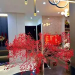 Cho thuê căn hộ T&T Victoria Vinh 2PN 68m² 10 triệu/tháng - Ảnh thu nhỏ 3