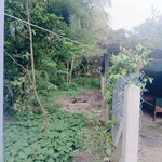 Bán đất thổ cư 10x28m5 Tây Ninh 1 tỷ 1 - Ảnh thu nhỏ 5