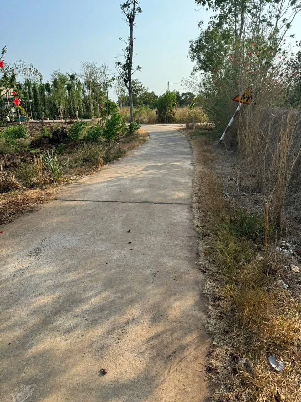 Bán đất thổ cư Cẩm Mỹ 1500m² giá 1 tỷ 150 - Ảnh 1