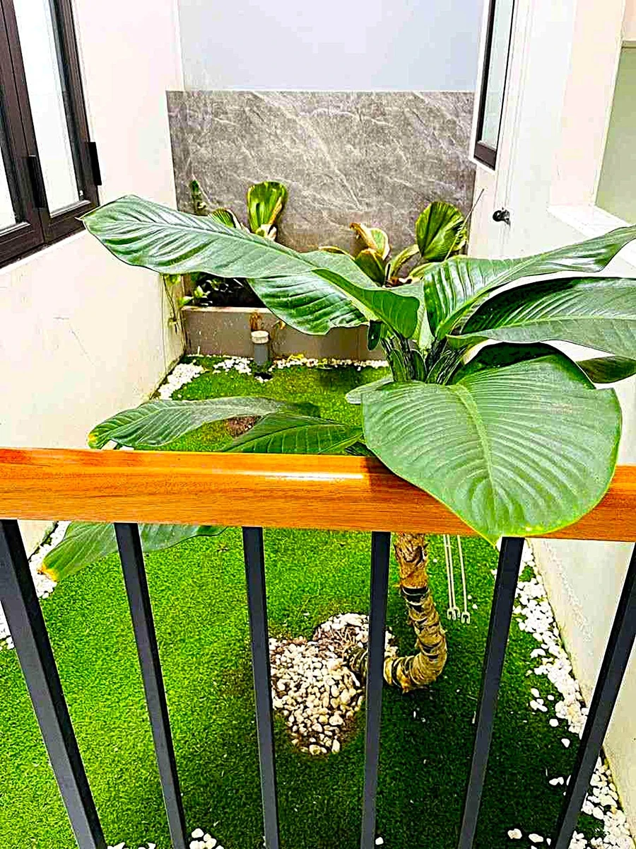 Bán nhà 2 tầng 3PN 100m2 Nguyễn Hàm Ninh Đà Nẵng - Ảnh thu nhỏ 3