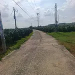 Bán vườn cây ăn trái 1.000m² Lâm Đồng 280 triệu - Ảnh thu nhỏ 2