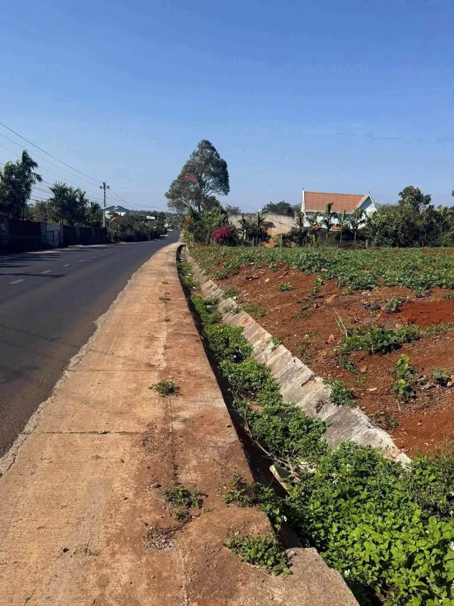 Bán đất 52x150m Đắk Lắk, 380 triệu - Ảnh thu nhỏ 2