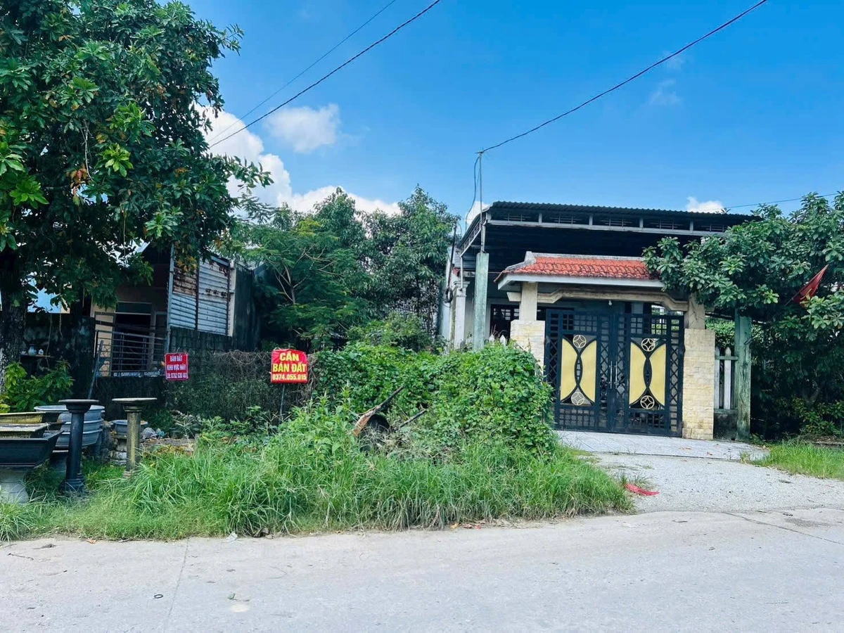 Bán đất mặt tiền Nguyễn Thị Thanh 94m2, 1.59 tỷ - Ảnh thu nhỏ 3