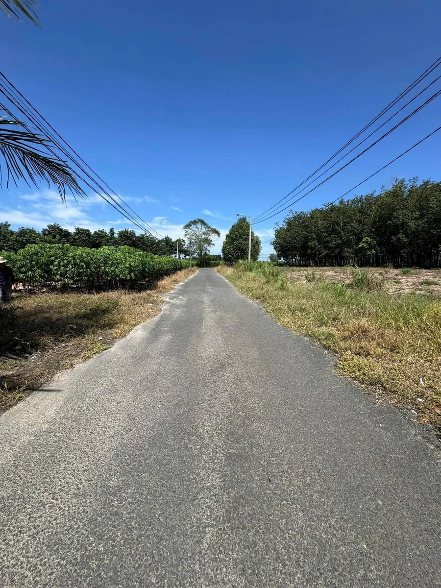 Bán dãy trọ 14 phòng, 420m², Bình Dương - Ảnh thu nhỏ 3