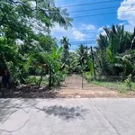 Bán đất vườn mặt tiền Mỹ Thạnh 1.064m² - 1,2 tỷ - Giồng Trôm - Ảnh thu nhỏ 2