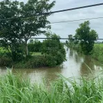 Cần bán 1,2ha đất ruộng tại Vàm Láng, đối diện cty Ống Thép. Giá 3tỷ500tr. LH: 0901 311 *** - Ảnh thu nhỏ 8