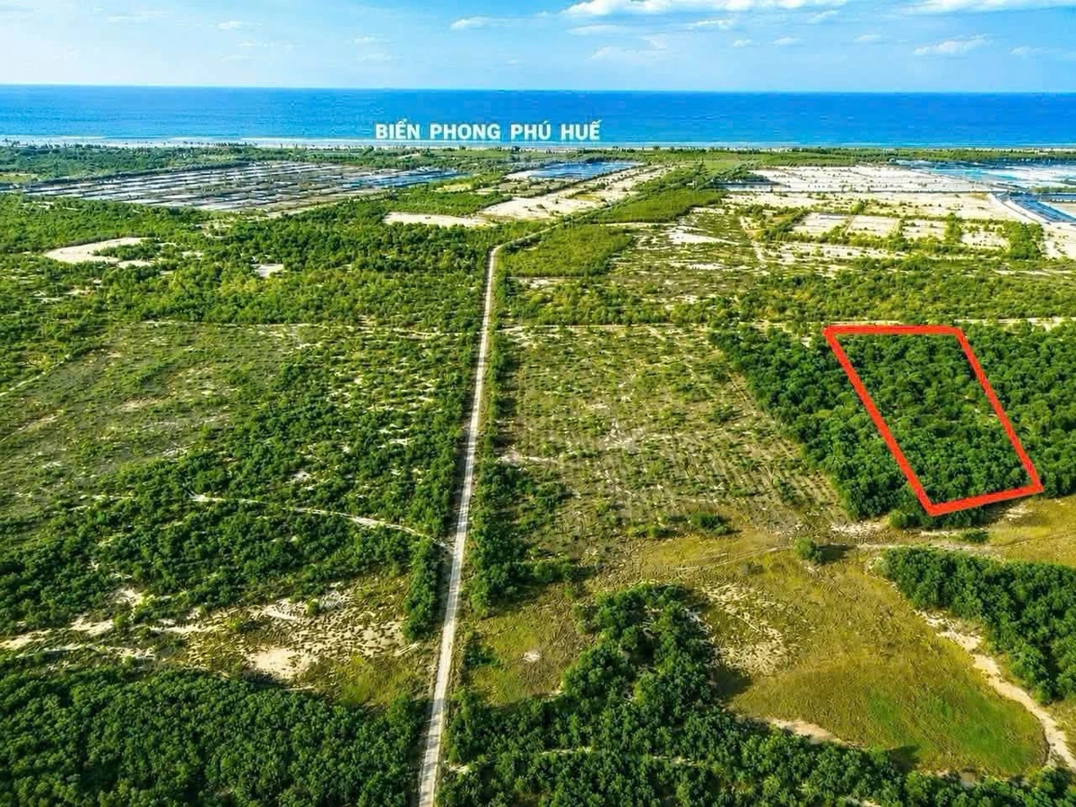 Bán đất biển Phong Phú TP Huế 21.000 m² chỉ 360 triệu - Ảnh thu nhỏ 2
