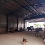 Cho thuê kho xưởng 500m² Dĩ An 20 triệu/tháng - Ảnh thu nhỏ 2