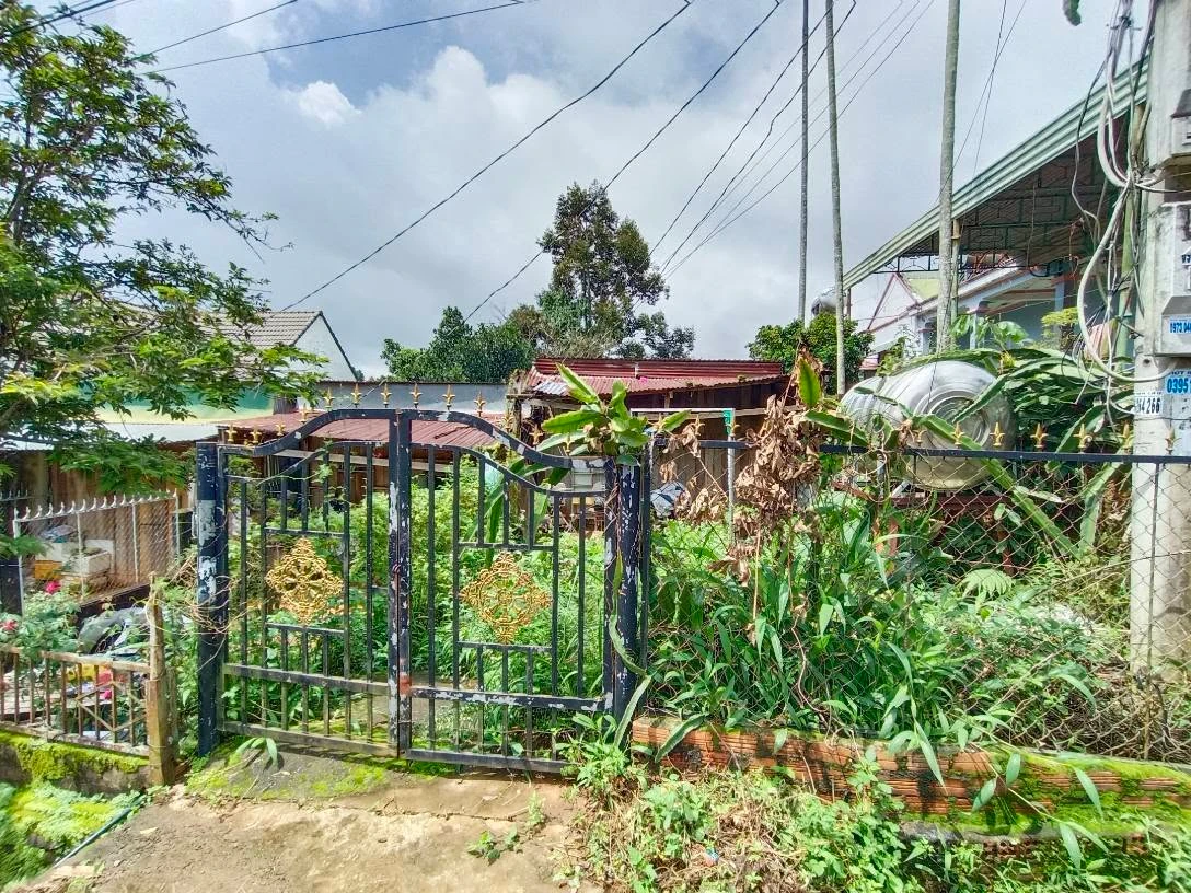 Bán đất nền 100m² Lâm Đồng, mặt đường nhựa, sổ đầy đủ - Ảnh thu nhỏ 5