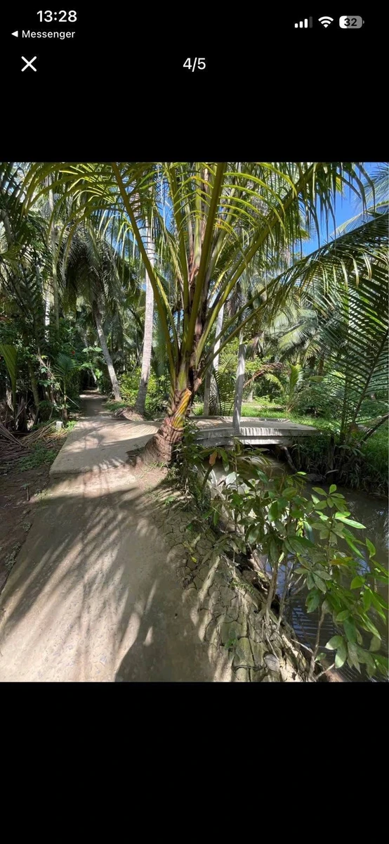Bán đất 300m² Xã Tân Thanh Tây Nhà Bè 690 triệu - Ảnh 1