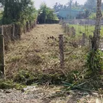 Bán lô đất thổ cư mặt tiền 200m² Long An 950 triệu - Ảnh thu nhỏ 3
