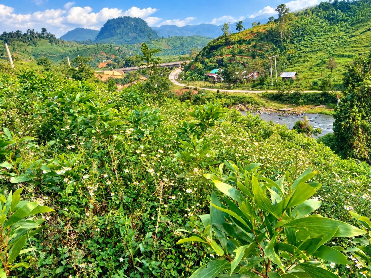 Bán lô đất view sông khoảng 4.000m2 vùng ven Măng Đen, Kon Plông - Ảnh 1