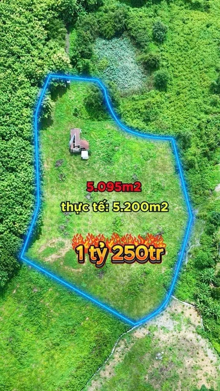Bán đất 5,1 sào ngay Cầu 14 Sêrêpốk giá 1 tỷ