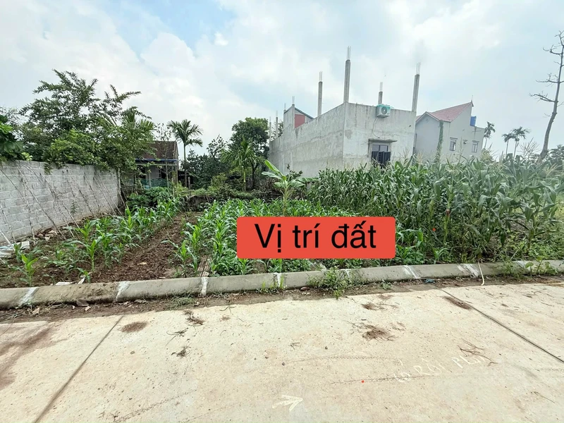 Bán đất nền 40.6m² Hồng Sơn Hà Nội 650 triệu